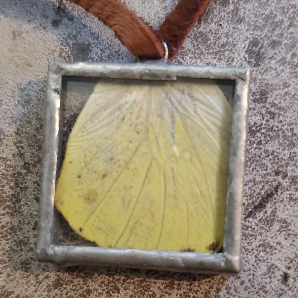 Glass And Butterfly Wing Silver  Necklace with Brown Leather Cord - Picture 2 of 3